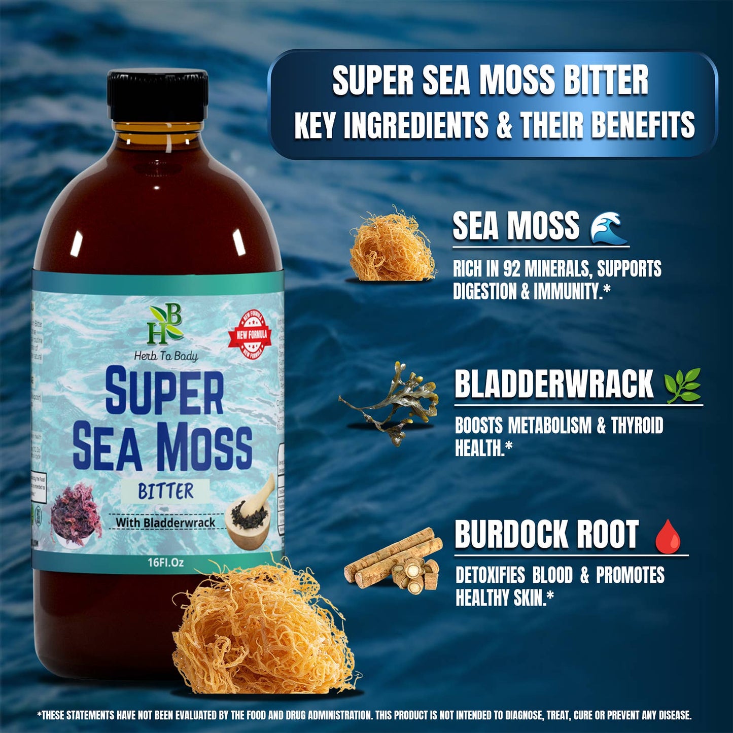 Herb To Body - Super Sea Moss Bitter - Herbal Bitter - 16oz Bottle