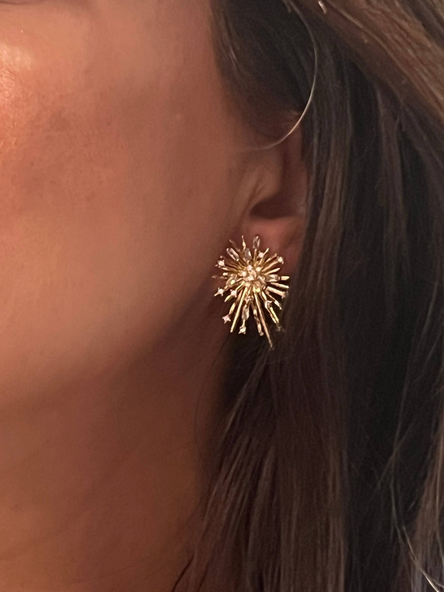 Buttoned Up with Lux - Sparkle Stud Earrings
